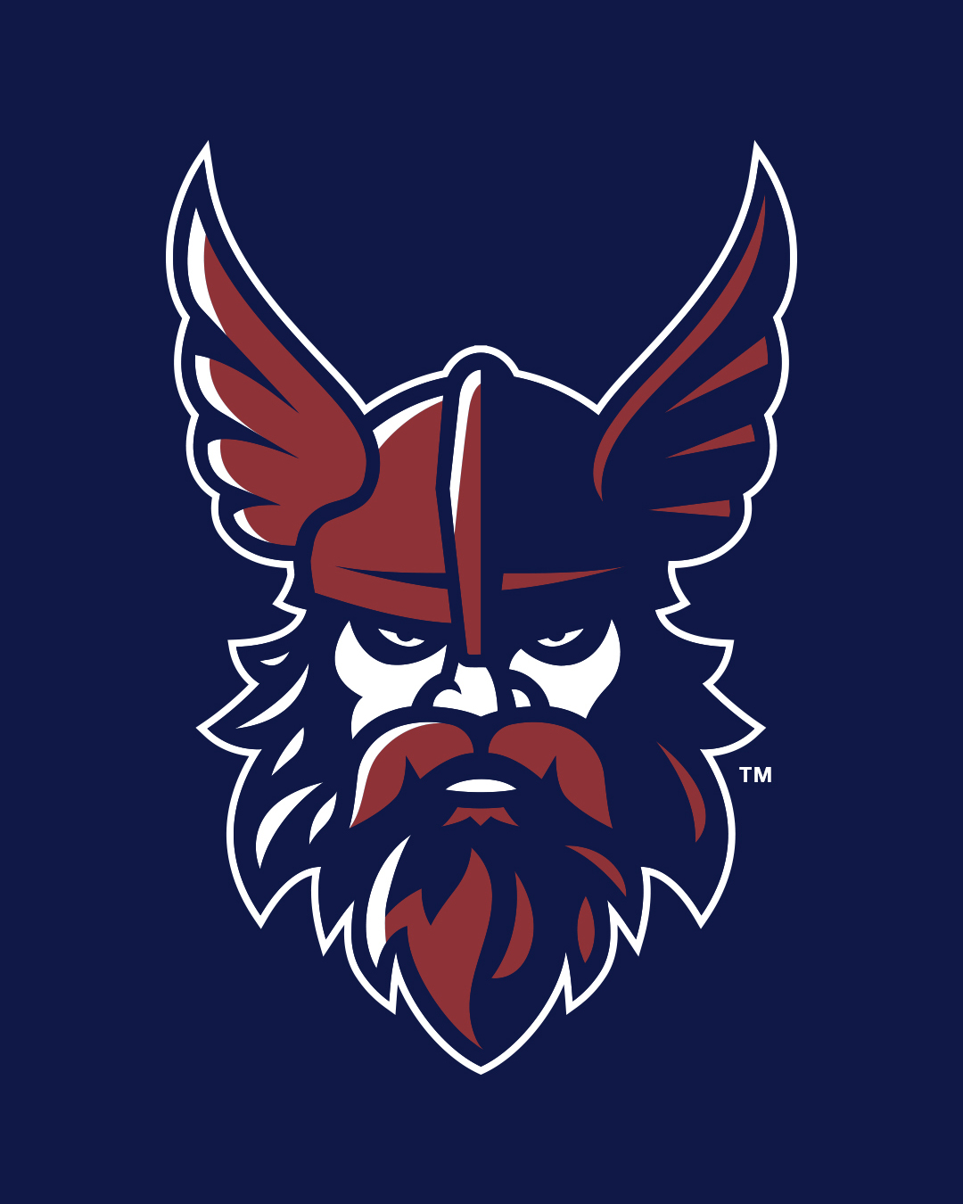 Viking mascot illustration for Thales Academy at Flowers Plantation.