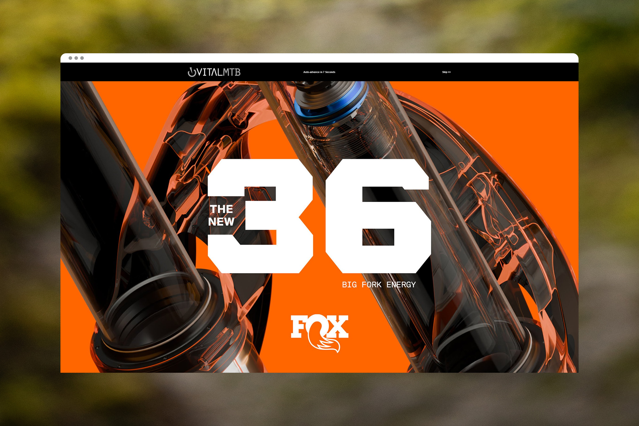 FOX 36 fork xray image for Vital MTB.